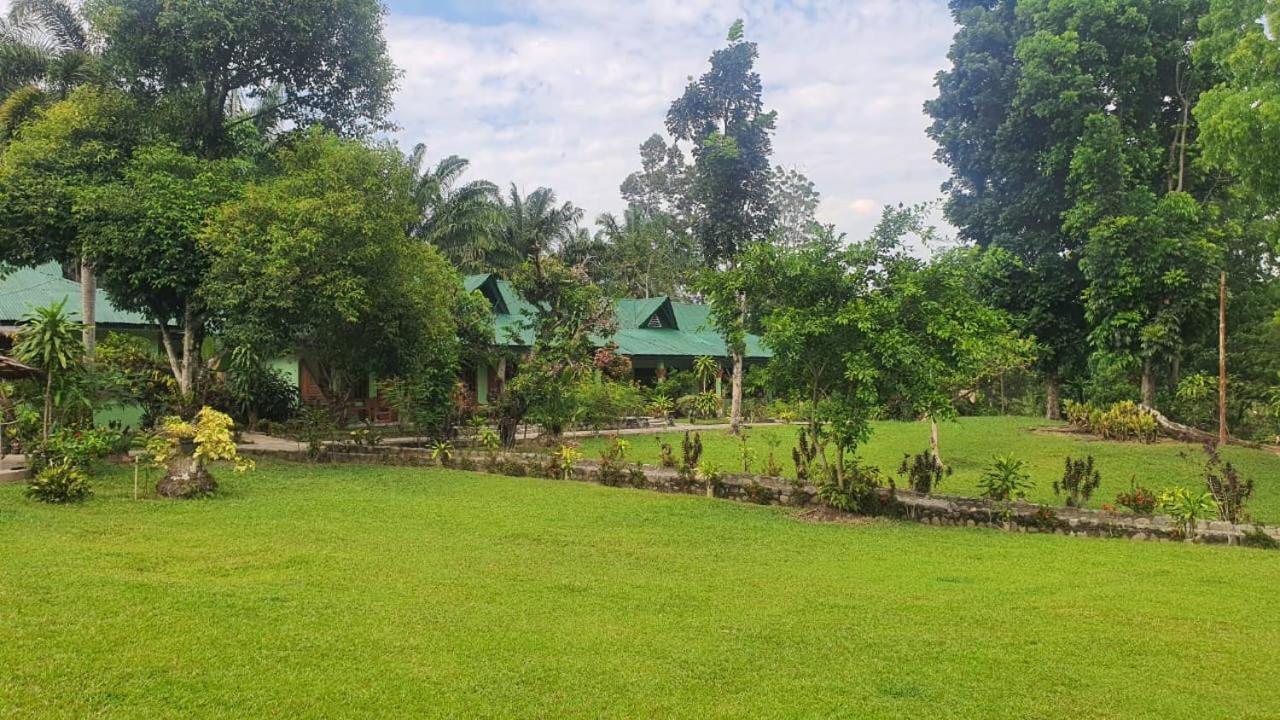 Wisma Batu Mandi Bukit Lawang Buitenkant foto