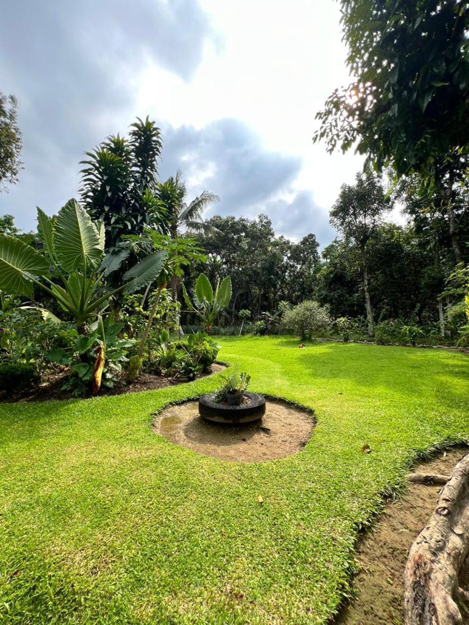 Wisma Batu Mandi Bukit Lawang Buitenkant foto