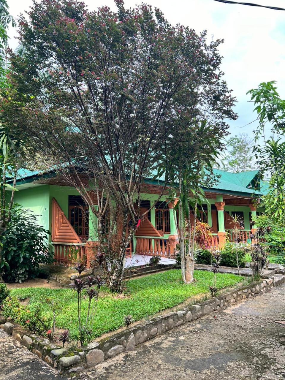 Wisma Batu Mandi Bukit Lawang Buitenkant foto