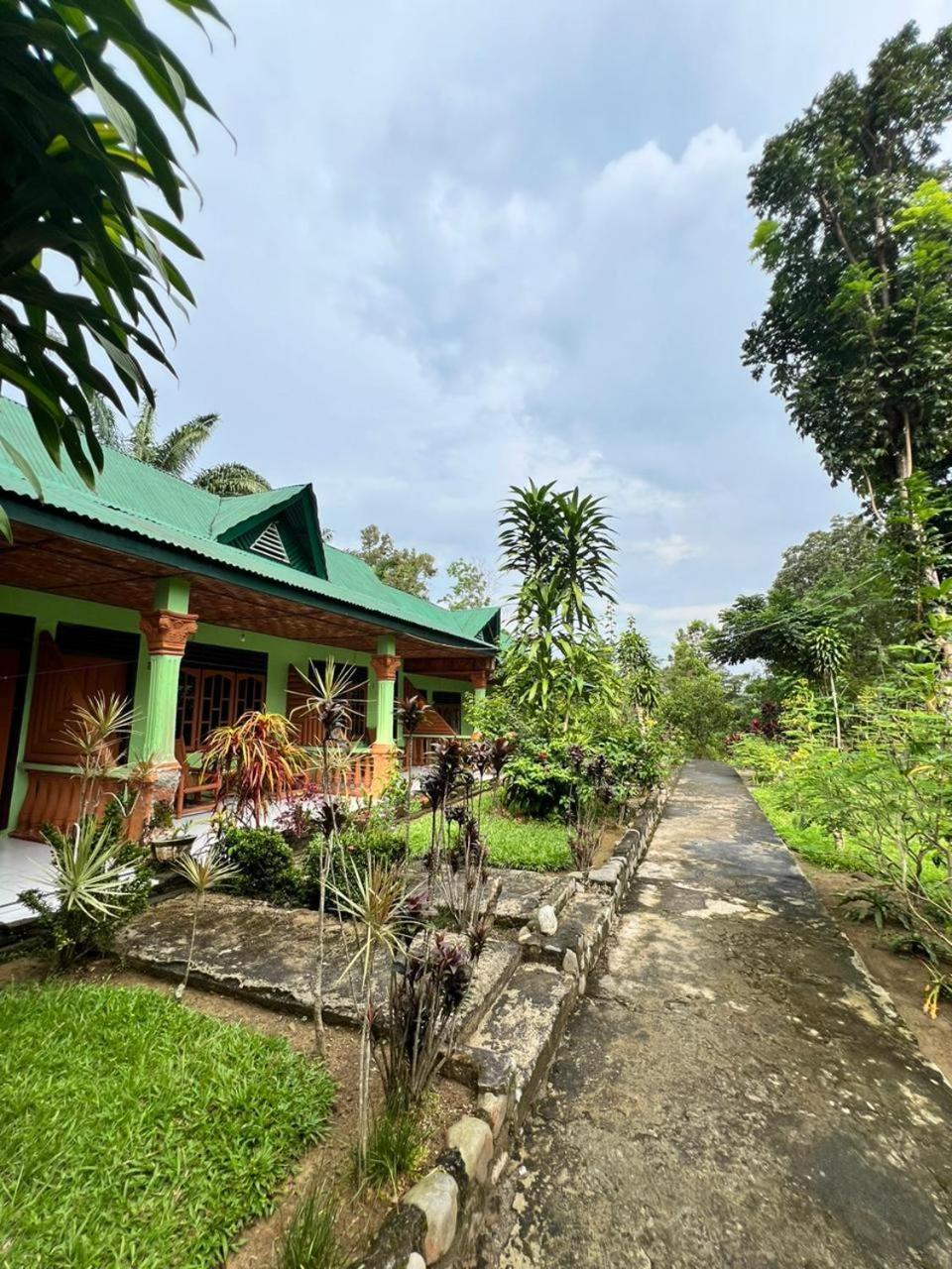 Wisma Batu Mandi Bukit Lawang Buitenkant foto