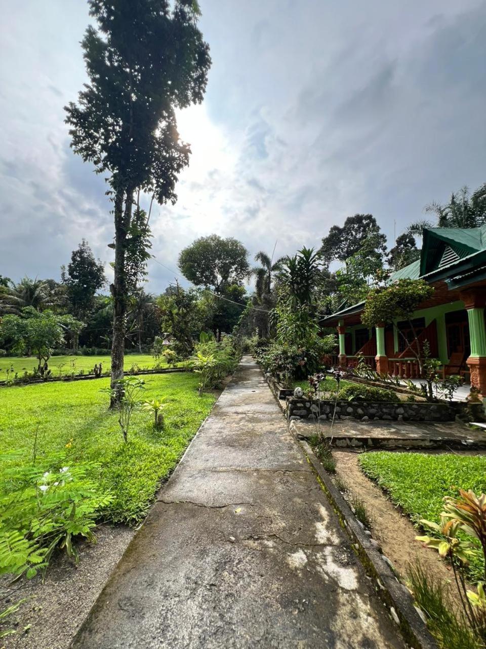 Wisma Batu Mandi Bukit Lawang Buitenkant foto