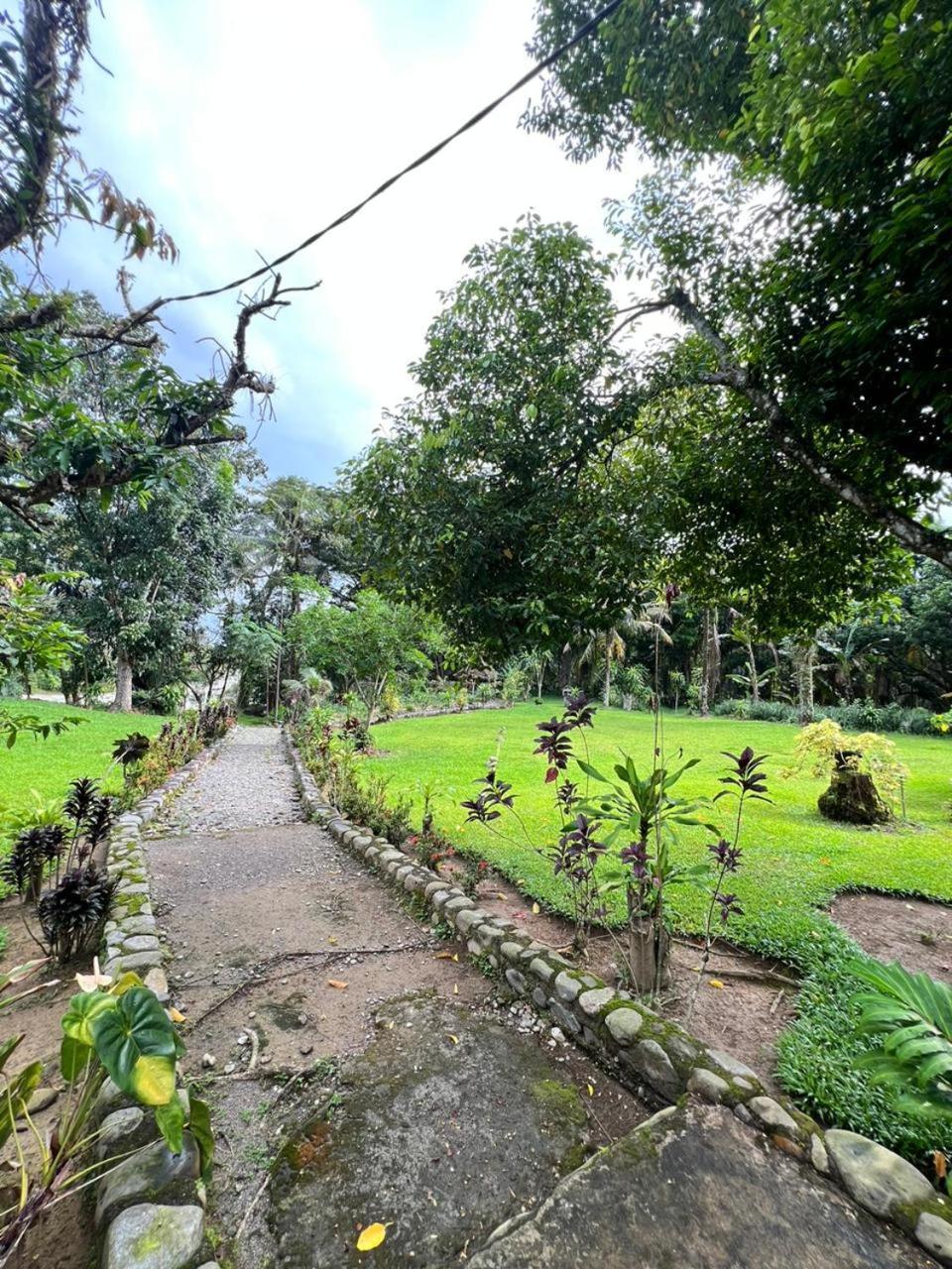 Wisma Batu Mandi Bukit Lawang Buitenkant foto