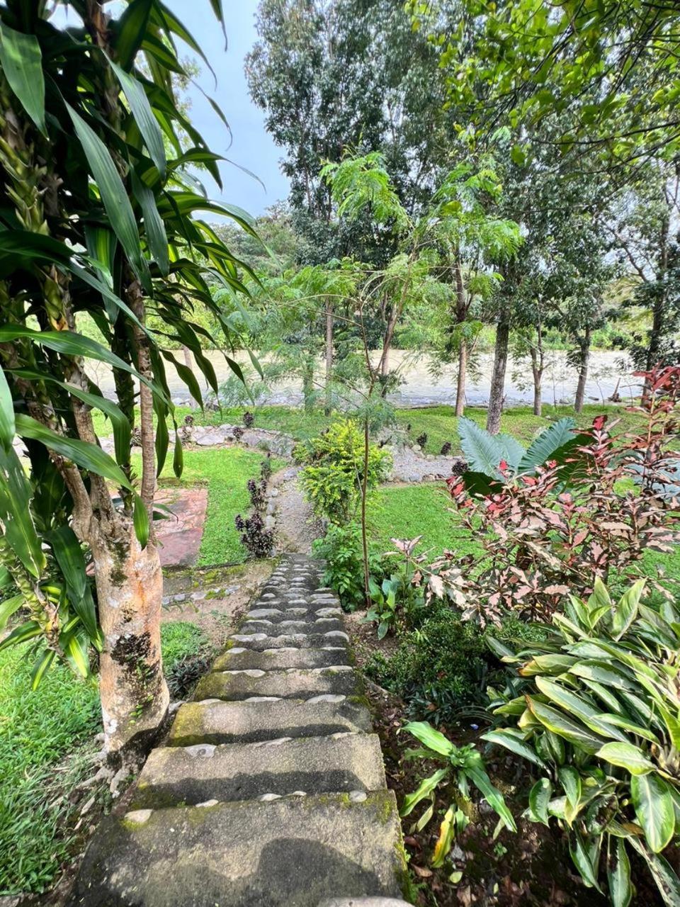Wisma Batu Mandi Bukit Lawang Buitenkant foto