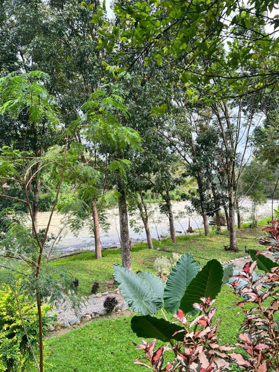Wisma Batu Mandi Bukit Lawang Buitenkant foto