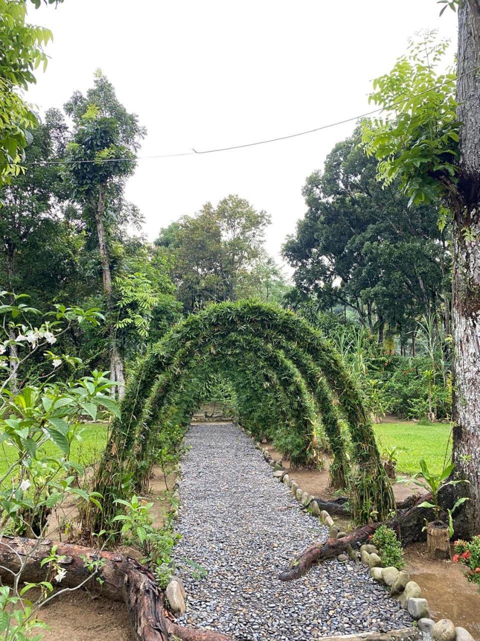 Wisma Batu Mandi Bukit Lawang Buitenkant foto