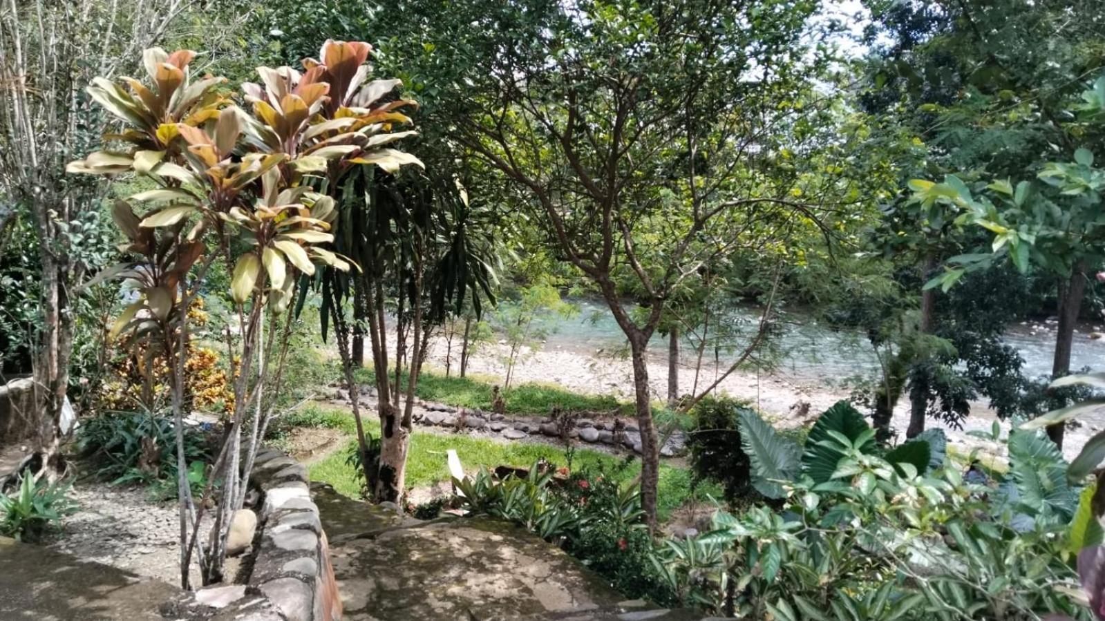 Wisma Batu Mandi Bukit Lawang Buitenkant foto